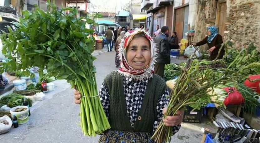 Ödemiş - Birgi - Gölcük Gölü