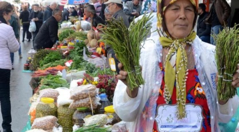 Bodrum Acı Ot Festivali