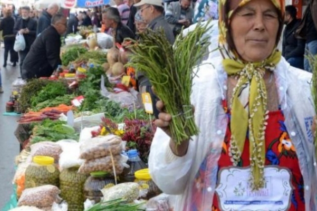 Bodrum Acı Ot Festivali