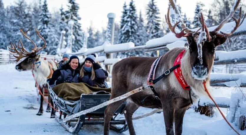 2025 Kuzey Işıkları - Lapland